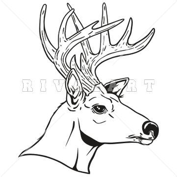 361x361 Buck Clipart Deer Head