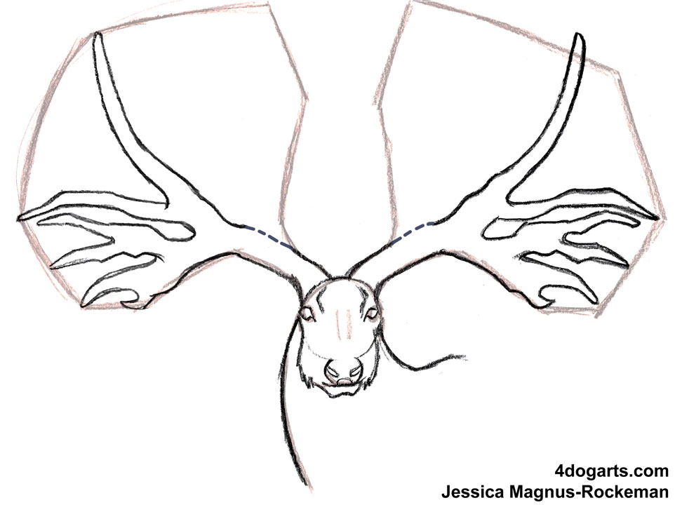 962x720 How To Draw Eucladoceros Dicranios, Or, Icege Deer If You'Re