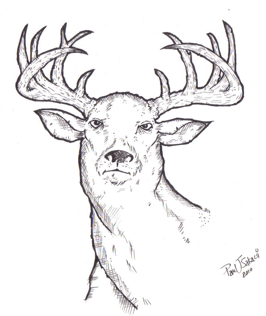 884x1050 Oh Deer! My World Inside Me