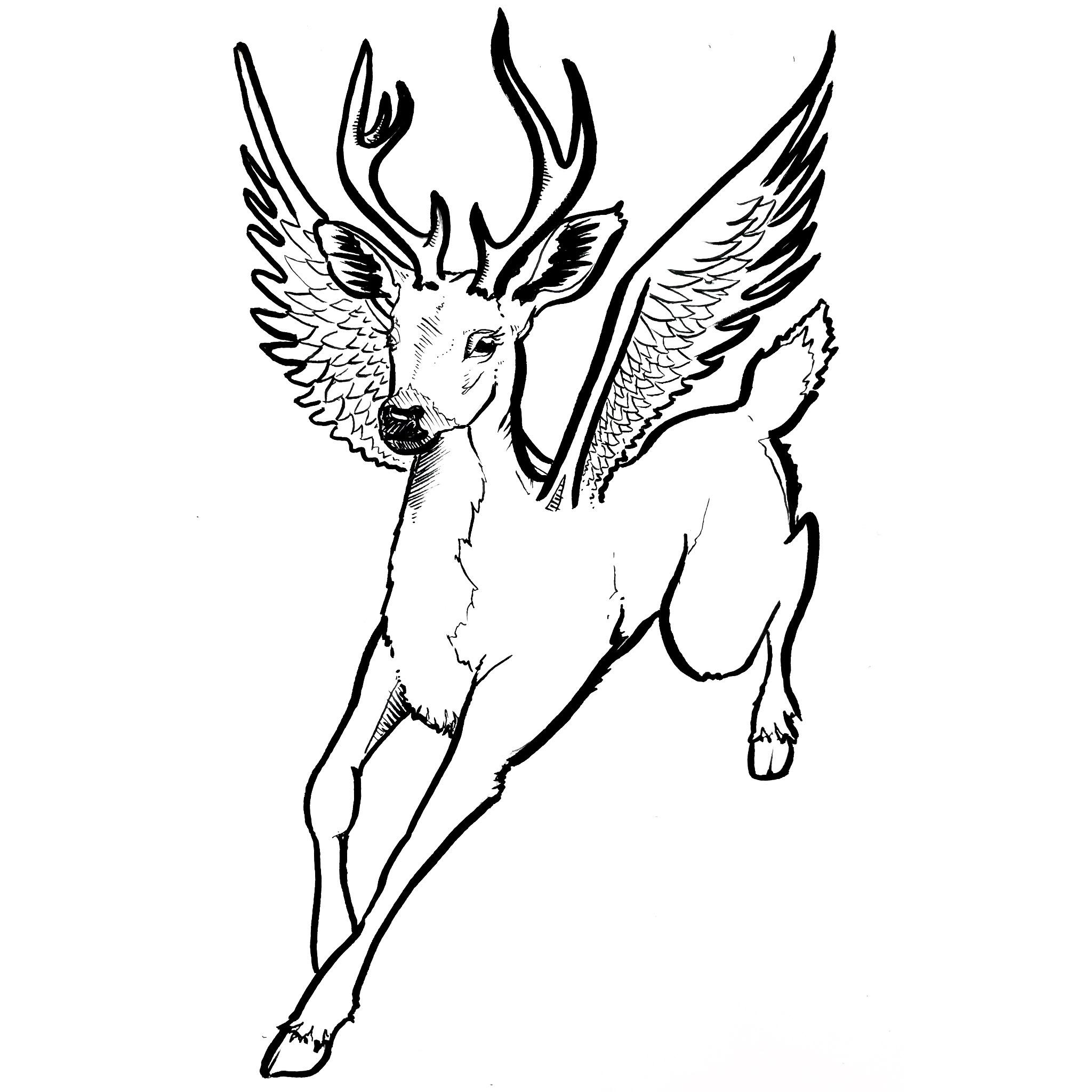 2048x2048 Winged Deer, 8 X 10, Ink Drawing Drawing