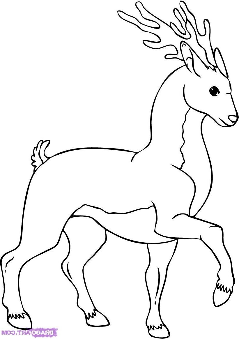 821x1164 Best Free Drawing Clipart Deer Photos