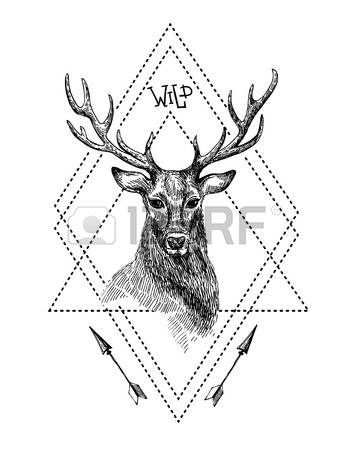 350x450 Drawn Deer Majestic