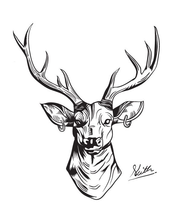 612x705 84 Best Deer Images On Deer, Antlers And Elk