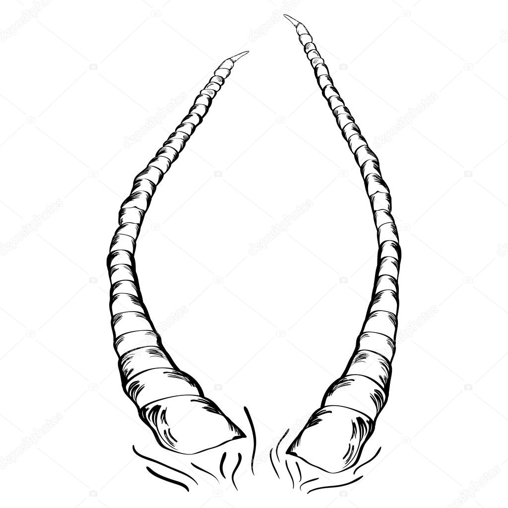 1024x1024 Horns Stock Vector Negativ