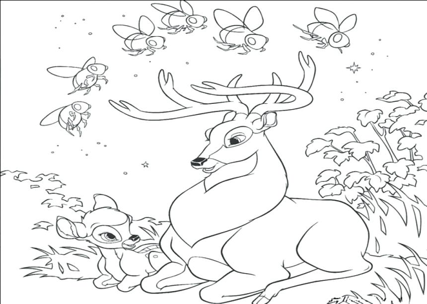 860x612 Deer Printable Coloring Pages Free Printable Deer Coloring Pages