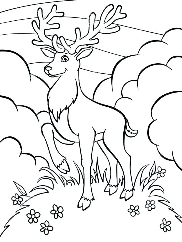 618x818 Deer Hunting Coloring Pages Deer Hunting Coloring Pages Pictures