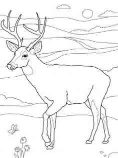 236x315 Coloring Printables Free Placemats Free Printable Deer Coloring