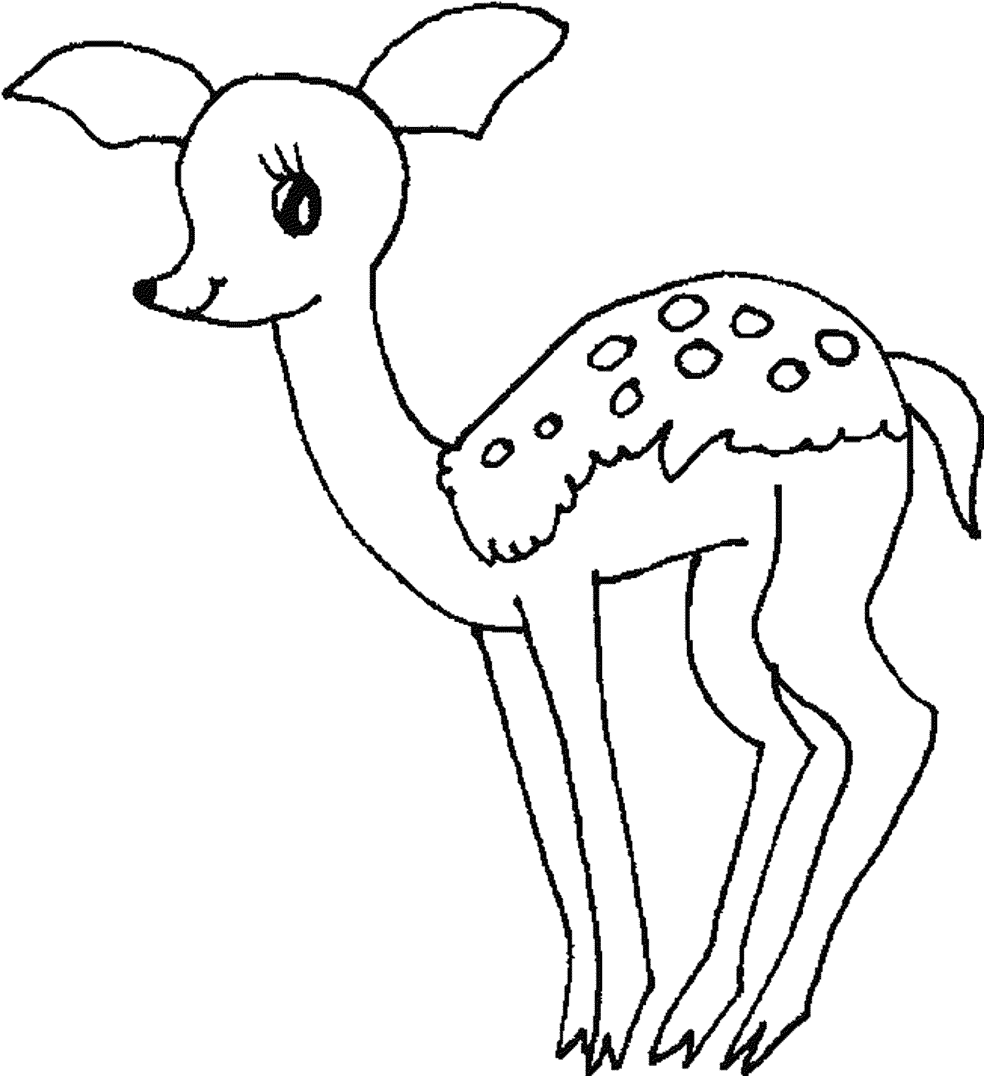 2000x2187 Baby Deer Coloring Pages