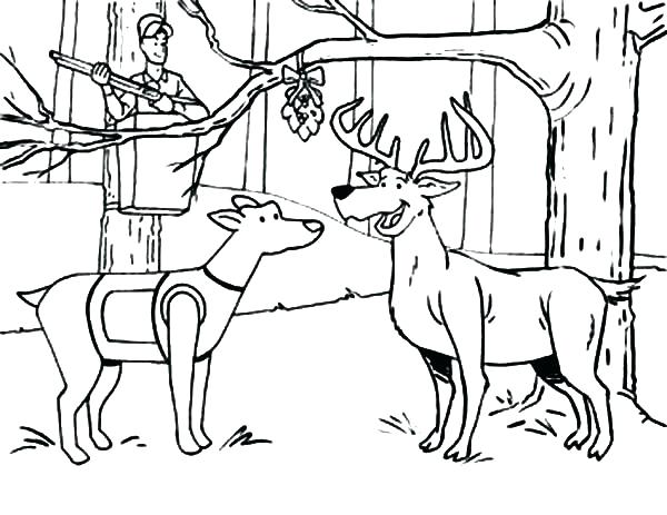 600x463 This Is Deer Coloring Pages Pictures Red Deer 2 John Deere