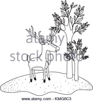 300x330 Deer Cartoon With Long Horns Forest Next To The Trees