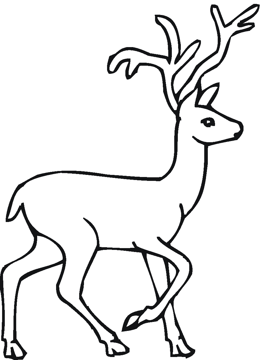 877x1200 Deer Coloring Pages For Kids Printable To Cure Page Pict