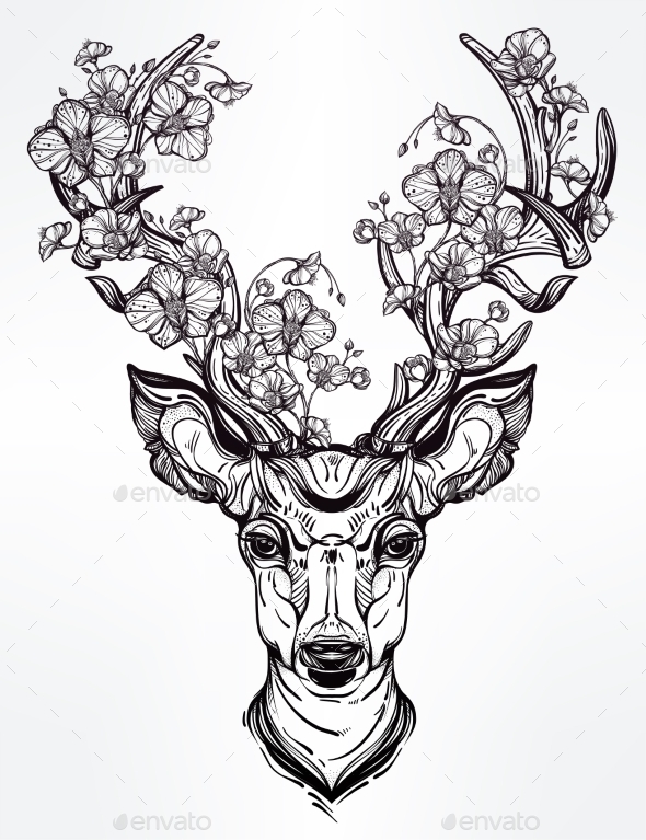 590x767 Deer Head With Flowers In Line Art Style.