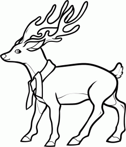 259x302 How To Draw A Christmas Deer Toons Mag