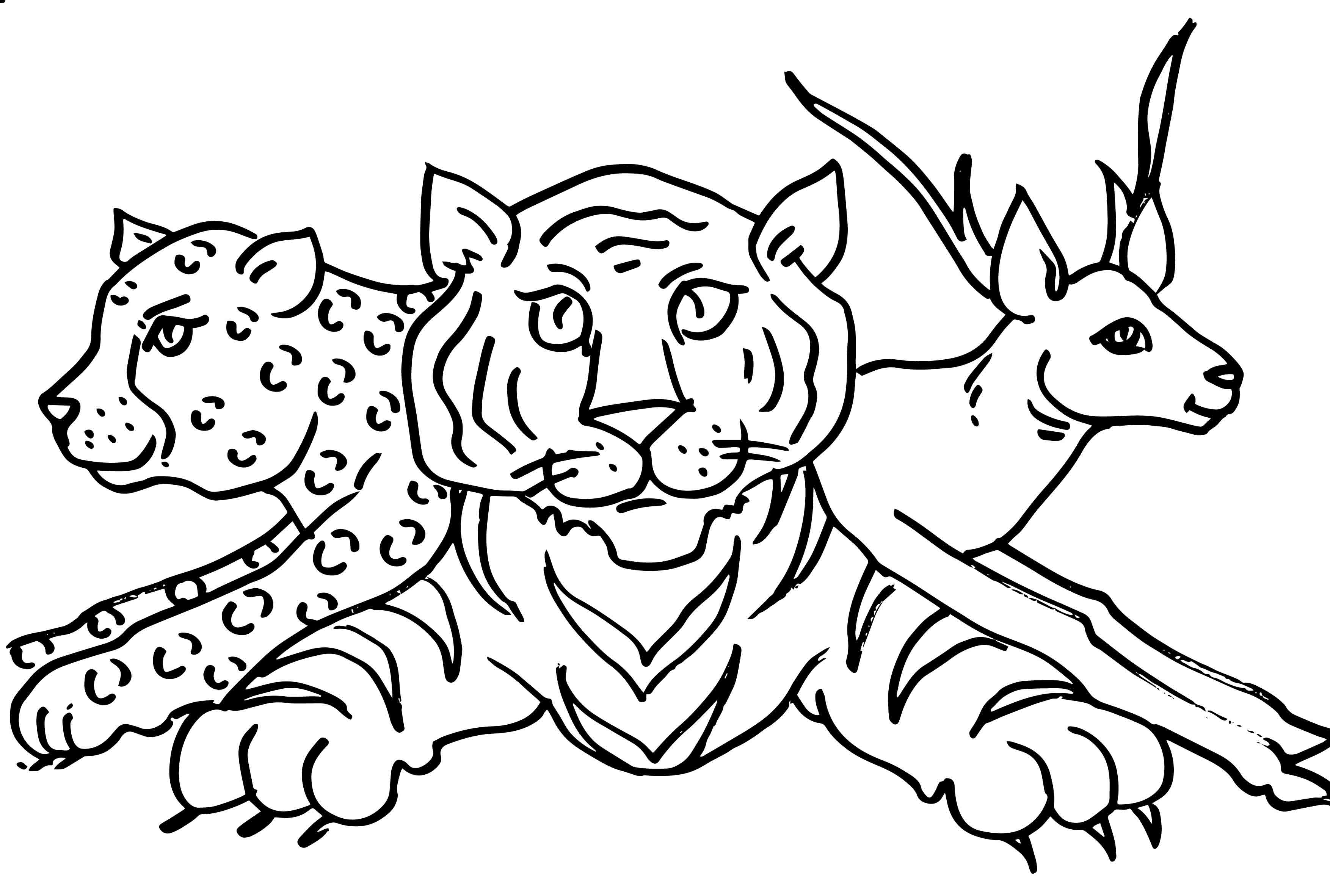 3508x2364 Line Art Balaj Arts