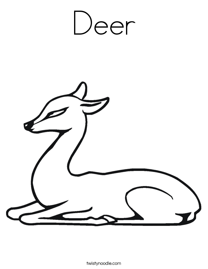 685x886 Deer Coloring Page