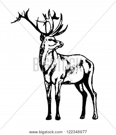 405x470 Graphic Image Wild Animal On White Vector Amp Photo Bigstock