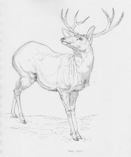 266x320 Matt Nava Mule Deer, Paramylodon, And Stockoceros