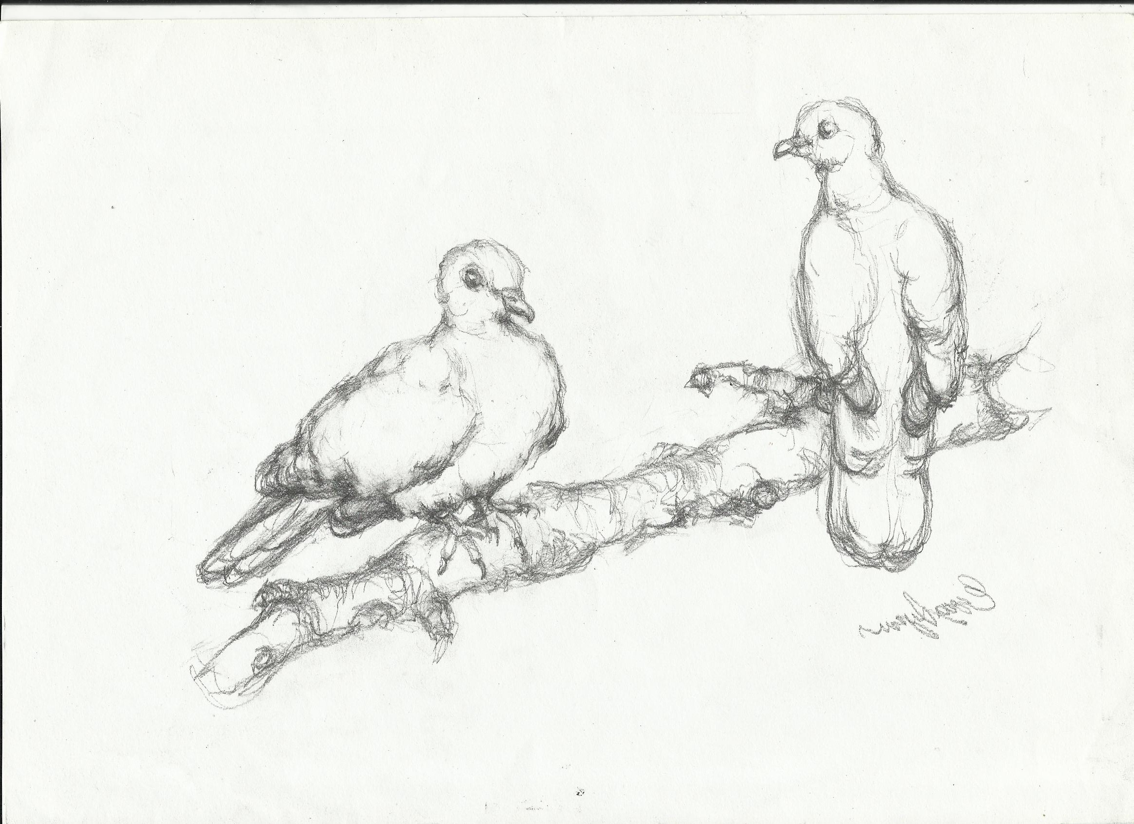 2338x1700 Pencil Sketch Animals Love
