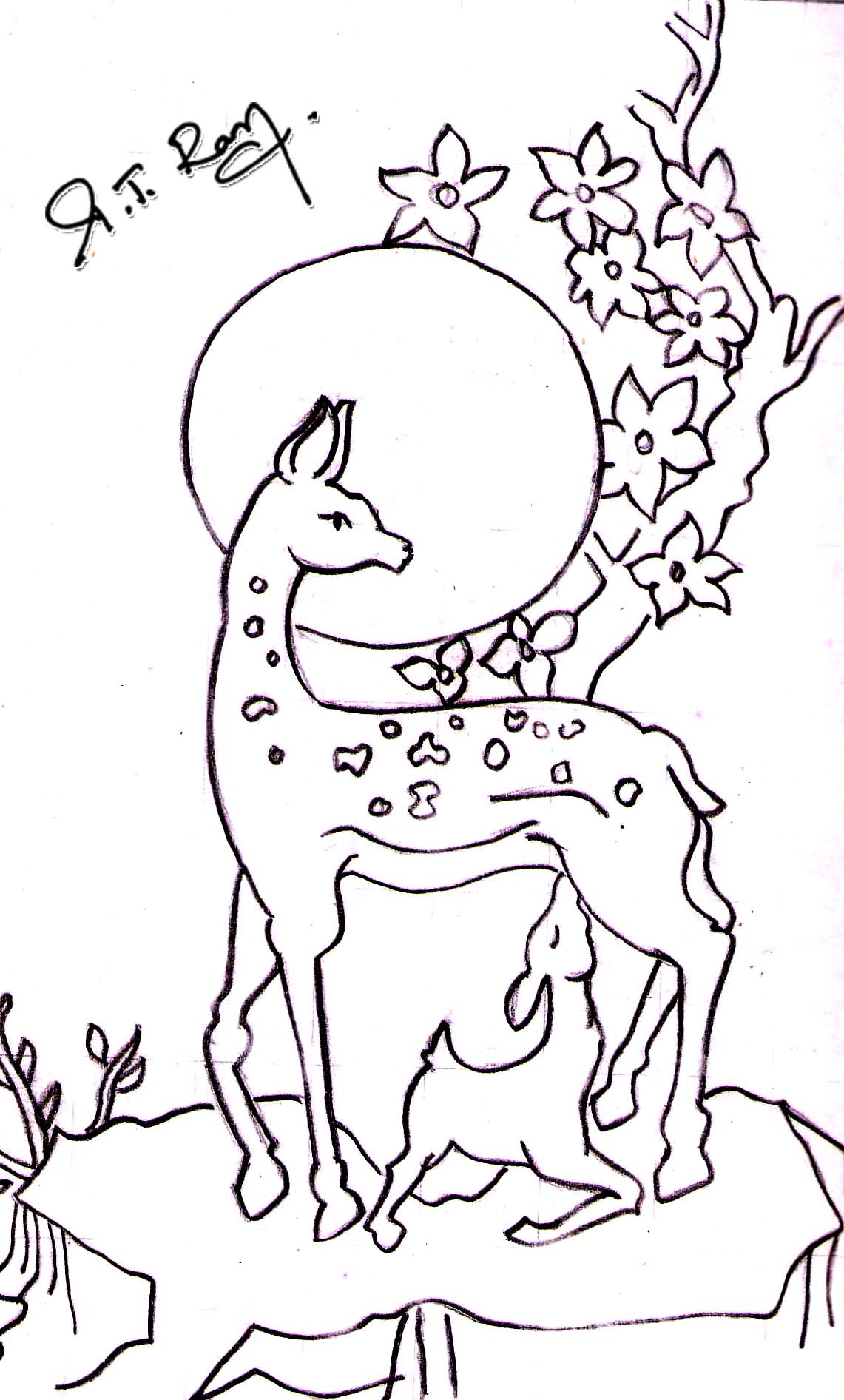 1141x1892 Deer Paintings