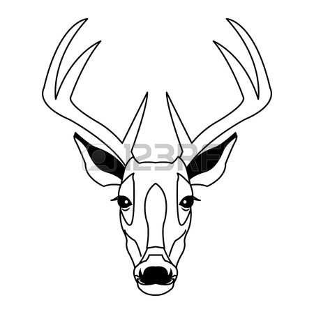 450x450 Hand Drawn Graphic Sketch Illustration Of A Deer Head With Big