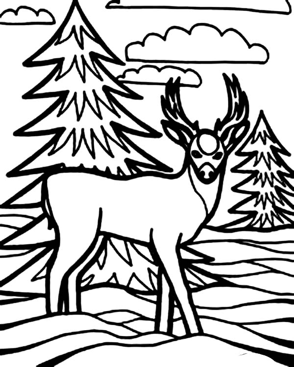600x749 Kid Drawing Of Deer Coloring Page Coloring Sun