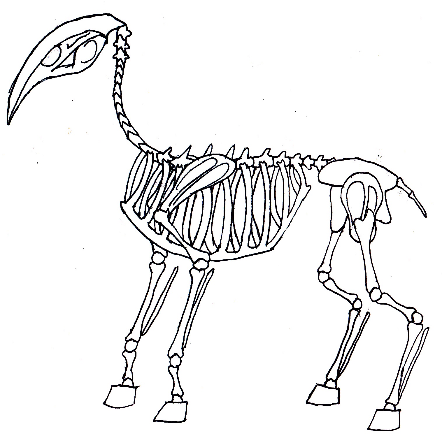 1516x1496 Deer Creature Skeleton By Thegmodgirl