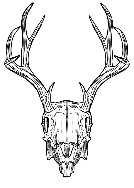 457x640 Free Image On Pixabay