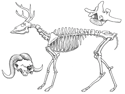 400x300 Urban Sketchers Twin Cities February 2010