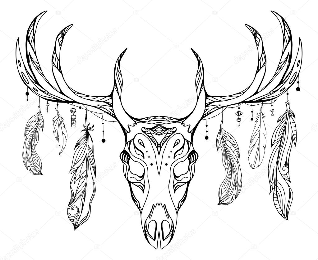 1023x837 Deer Skull With Antlers And Feathers Stock Vector Veleri