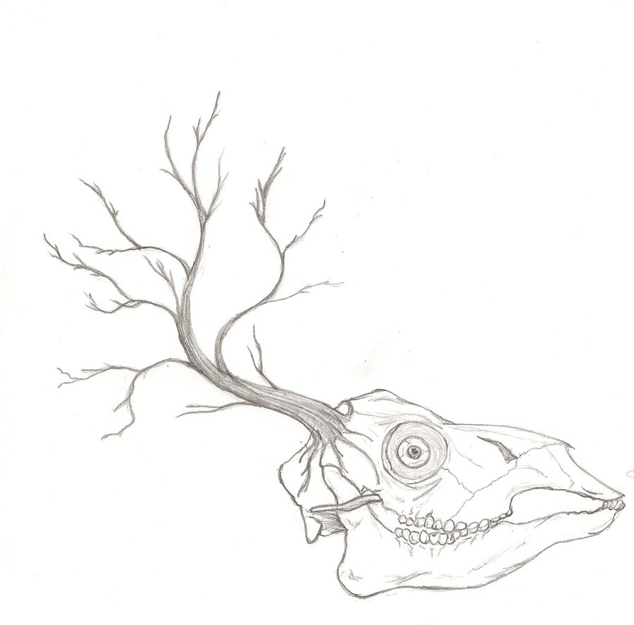 900x887 The Earth Is A Dead Deer Skull By Icrytentacles