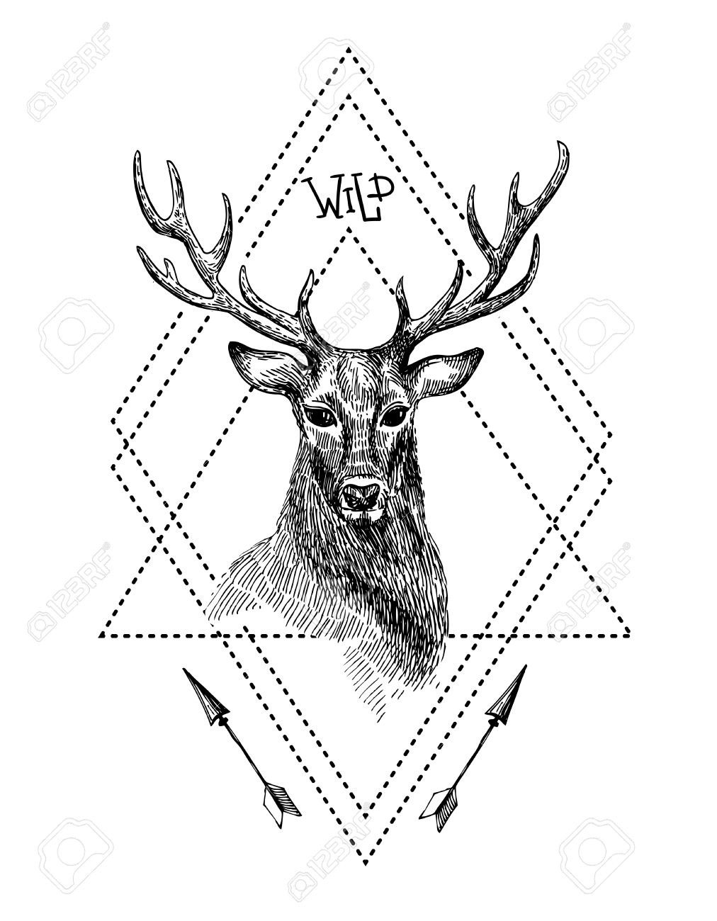 1012x1300 Hand Drawn Illustration Deer. Sketch Of Deer. Black And White