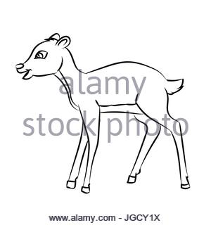 300x320 Hand Drawn Sketch Of Deer Rat Isolated, Black And White Cartoon