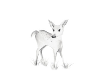 340x270 Baby Deer Drawing Etsy