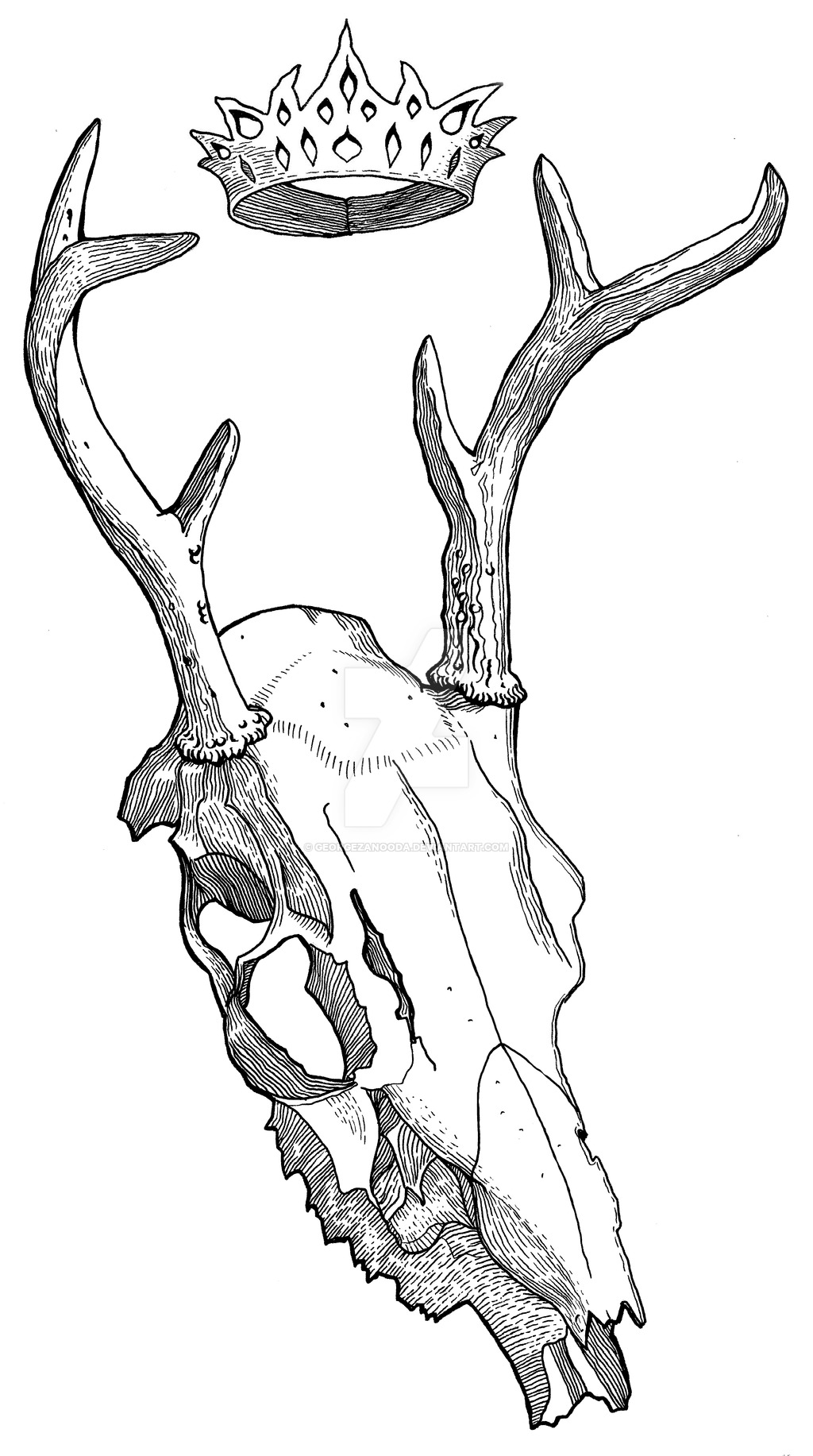 1024x1833 Deer Skull By Georgezanooda