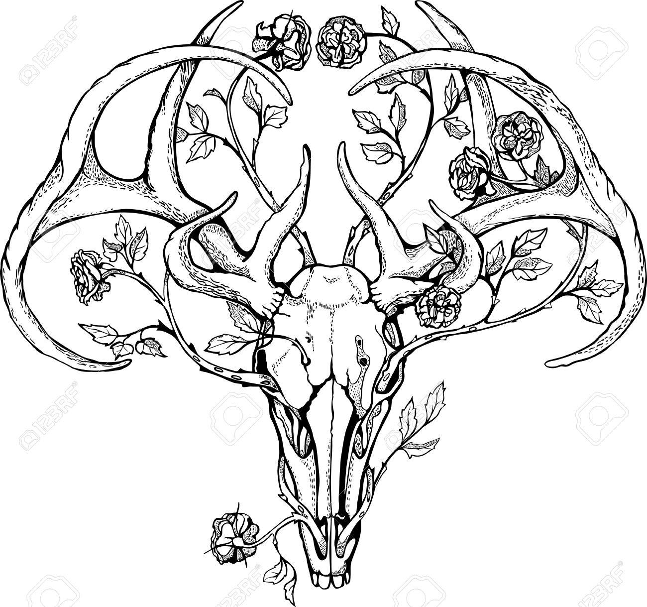 1300x1219 Black And White Deer Skull With Horns In Graphic Style Decorated