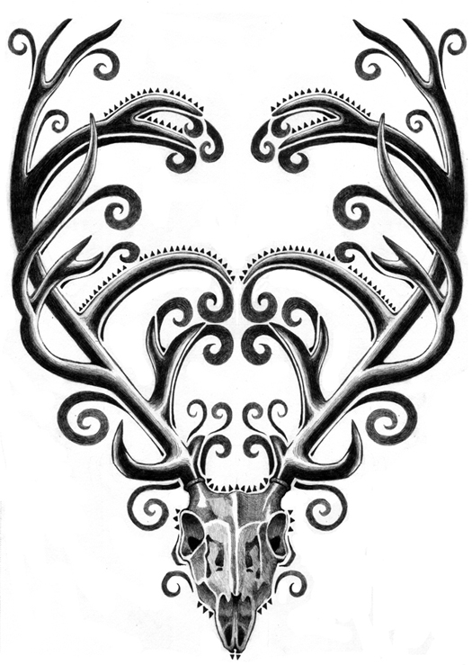 525x739 Sketchbeast New Works Chuck Pahlaniuk For Au Mag, Deer Skull