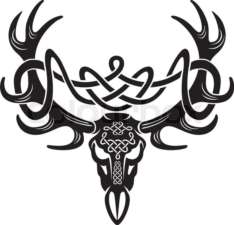 800x770 Celtic Deer Skull Stock Vector Colourbox