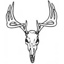 250x250 Deer Skull Drawing Clipart Panda