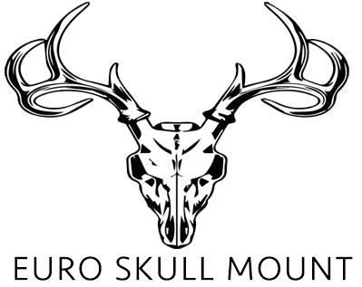 Deer Skulls Drawing at GetDrawings | Free download