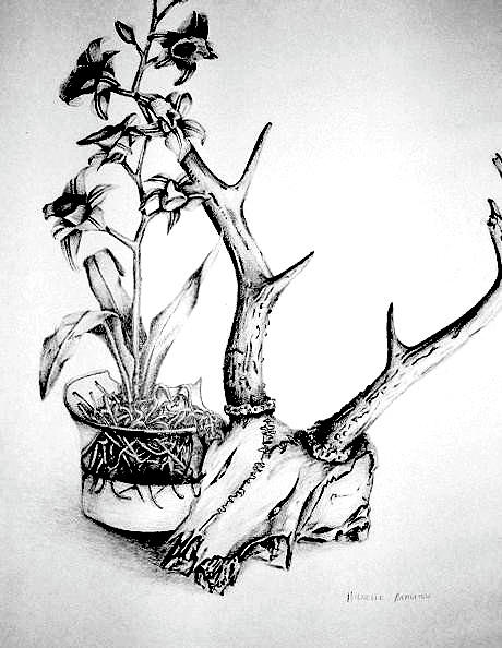 460x594 Skull And Flowers Drawing By Michelle Beaulieu