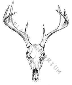 254x300 Skull Temporary Tattoo Deer Head Temporary By Joellesemporium
