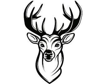 340x270 Deer 1 Buck Antlers Points Whitetail Fawn Hunting Hunt Game