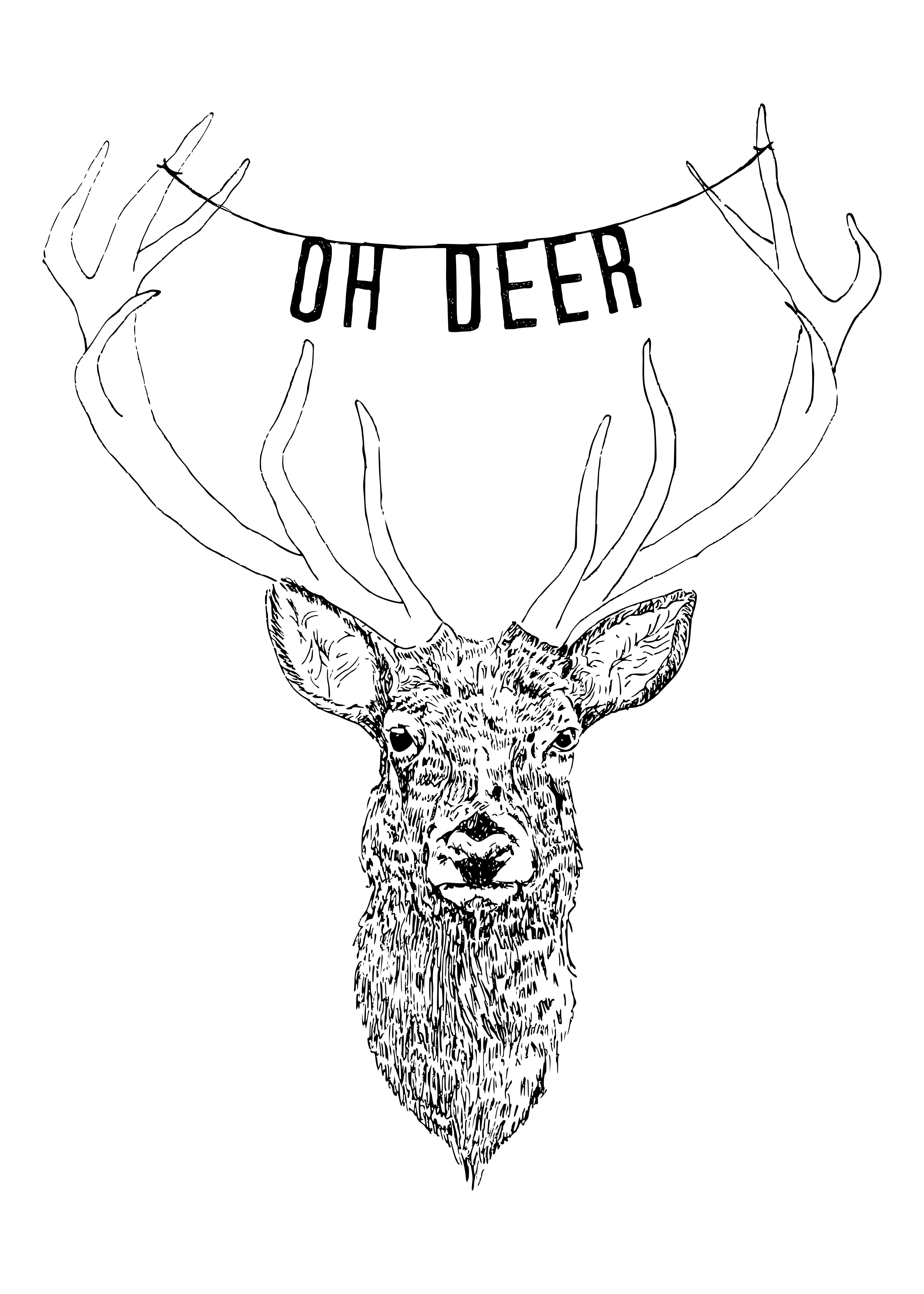 4496x6295 Oh Deer Illustration Illustration Deer