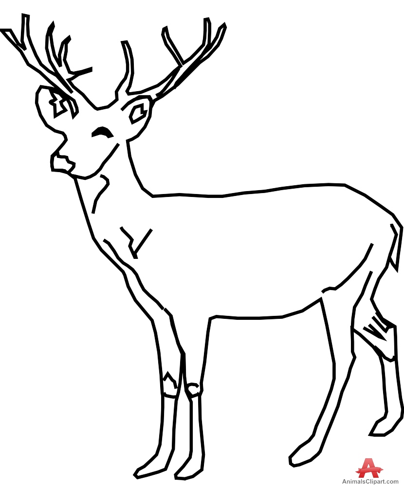 830x999 Drawing Clipart Deer