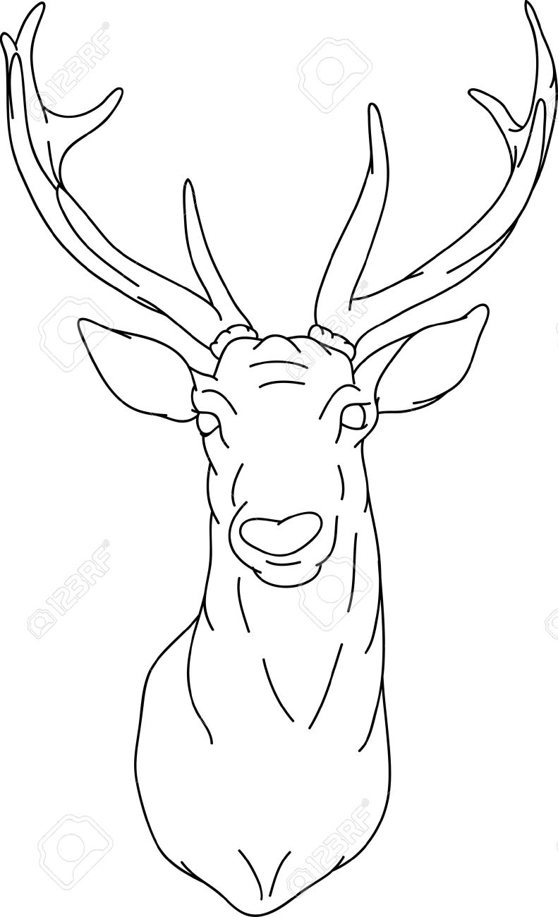 791x1300 Coloring Pages Drawings Of Deer Heads Drawing Art Coloring Pages