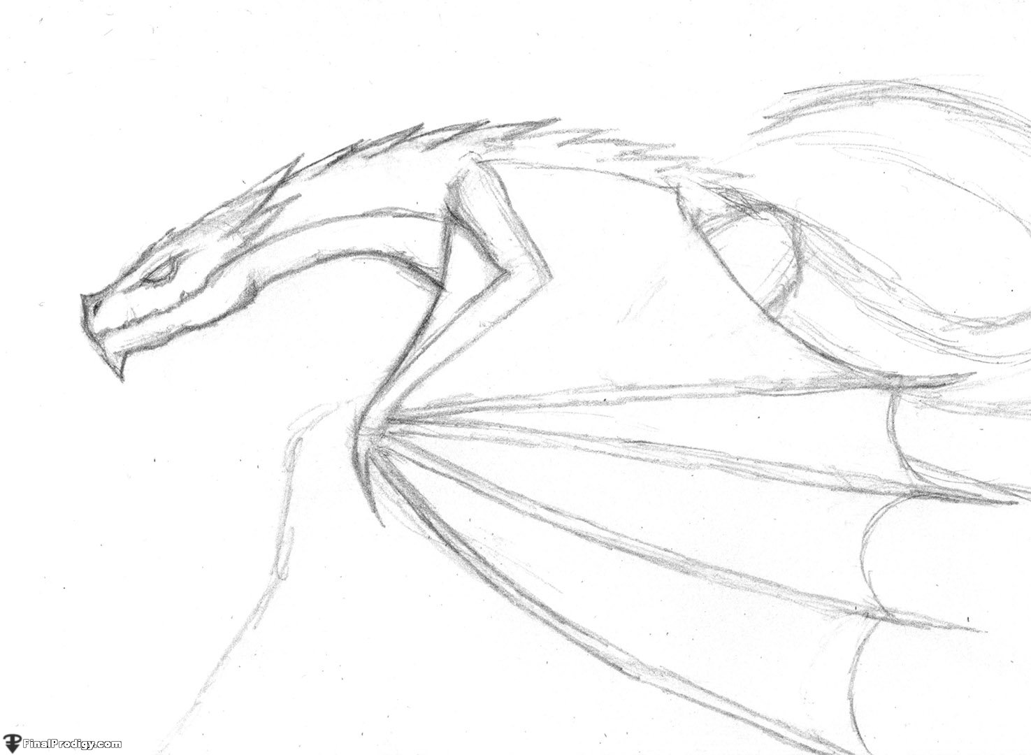 1475x1080 How To Draw A Wyvern