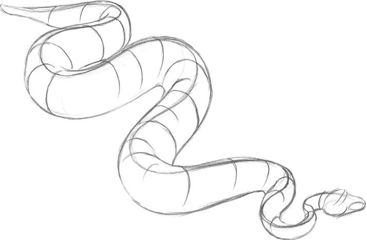 714x468 Snake