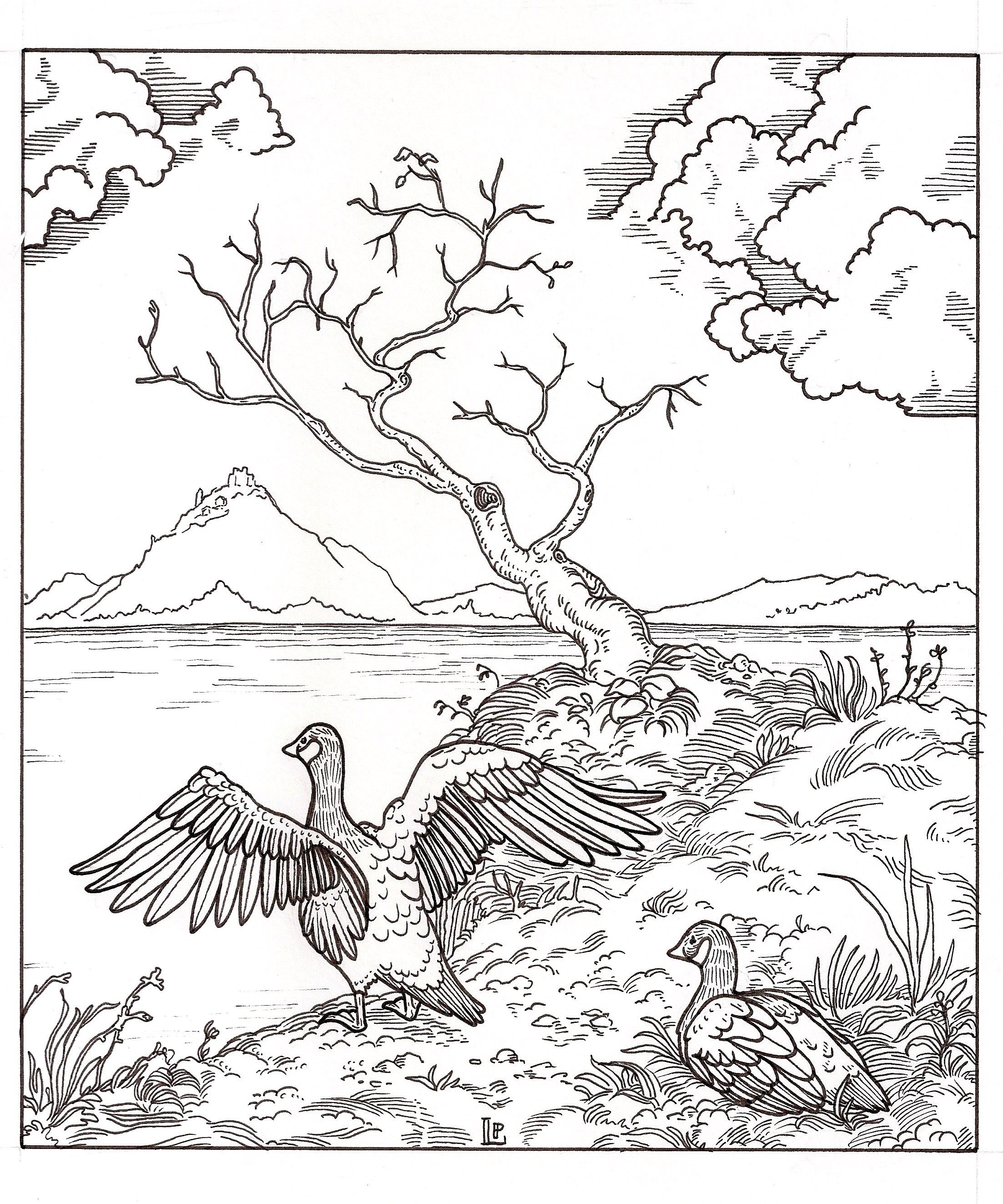 2205x2646 End Of The Line Drawings Amp Things By Lauren Purje