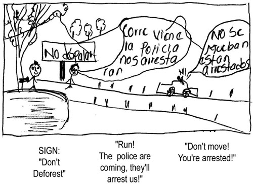 500x364 Deforestation