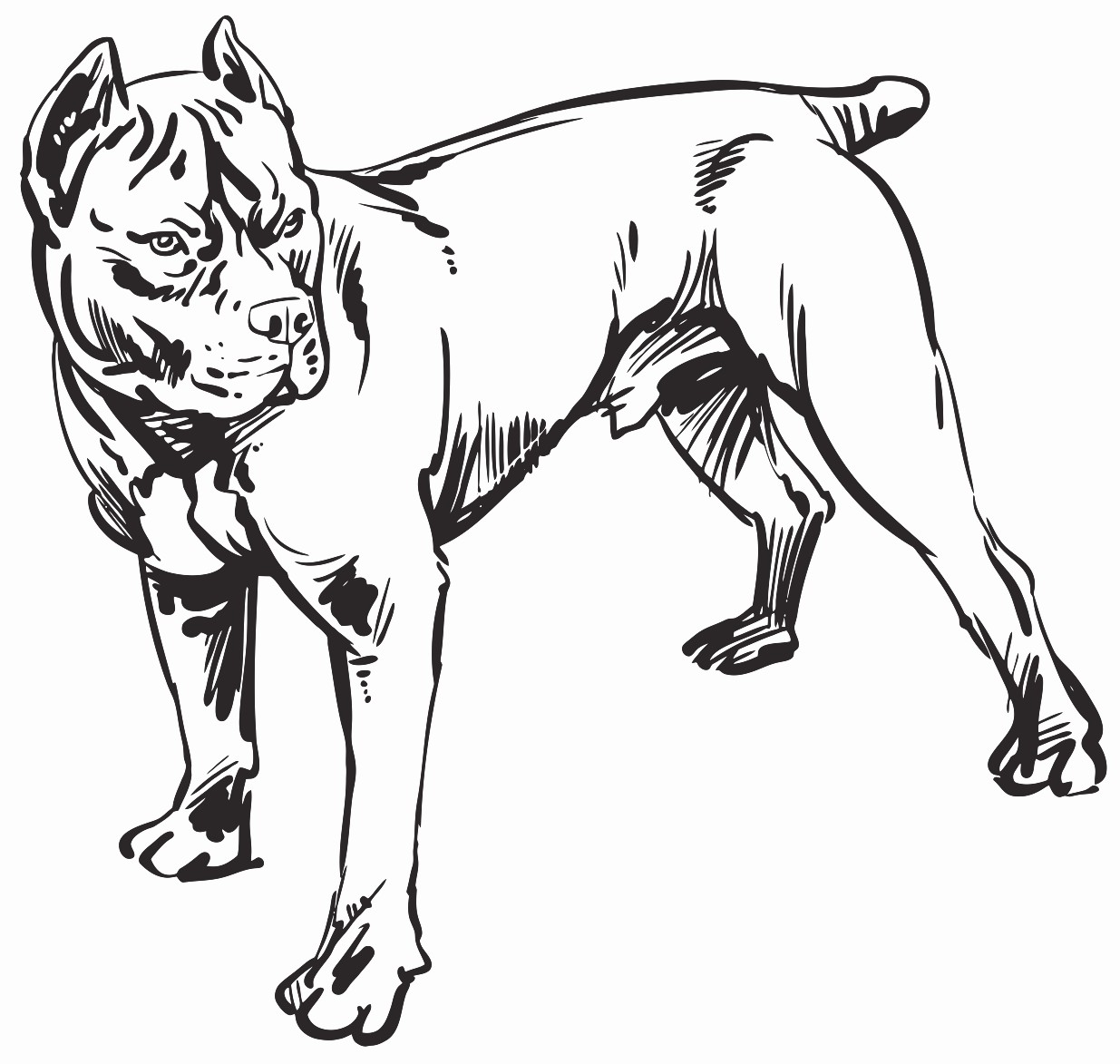 1235x1173 Hand Drawing Pitbull Demon Dog Imp Printable Image Illustration